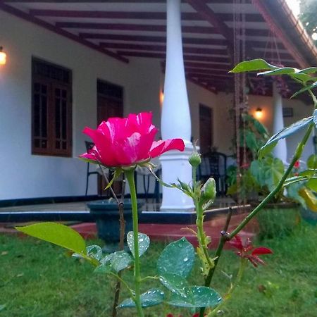 Danara Homestay Sigiriya Eksteriør bilde